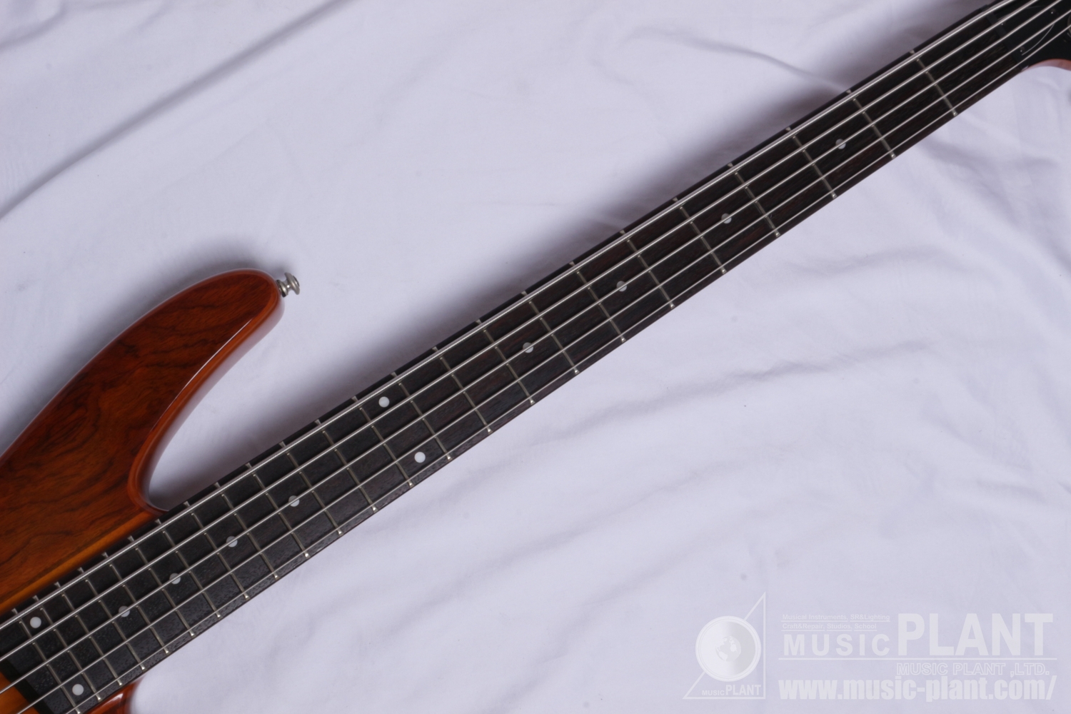 SRX 5 String Bass Neck-Thru追加画像 SRX 5 String Bass Neck-Thru追加画像