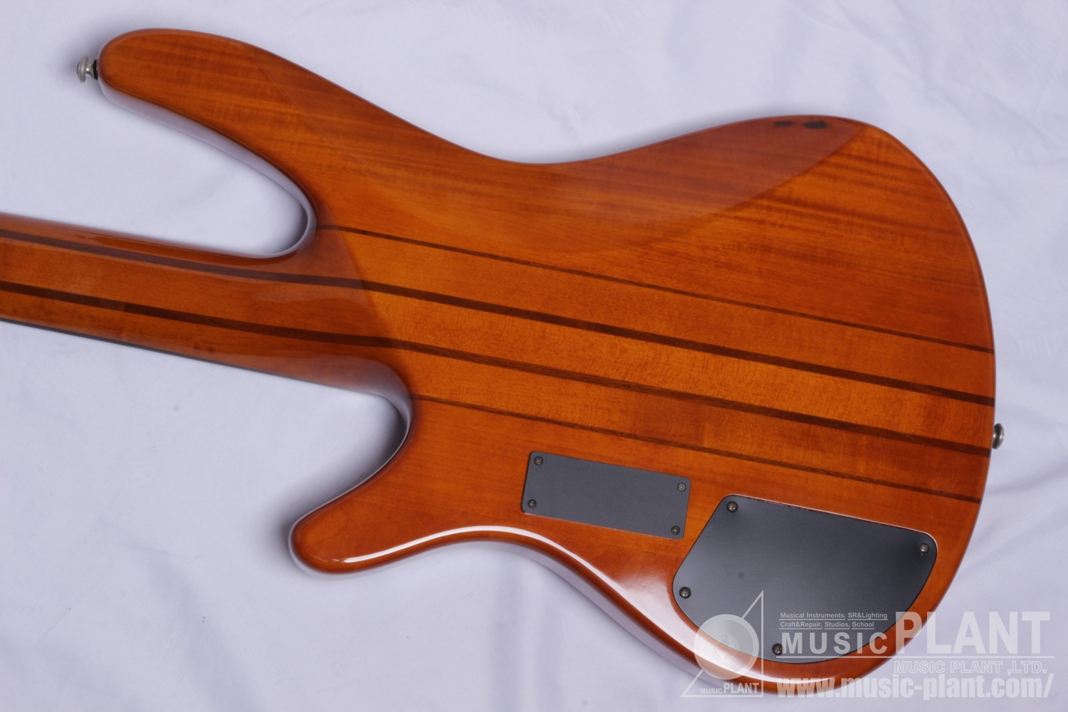 SRX 5 String Bass Neck-Thru追加画像 SRX 5 String Bass Neck-Thru追加画像