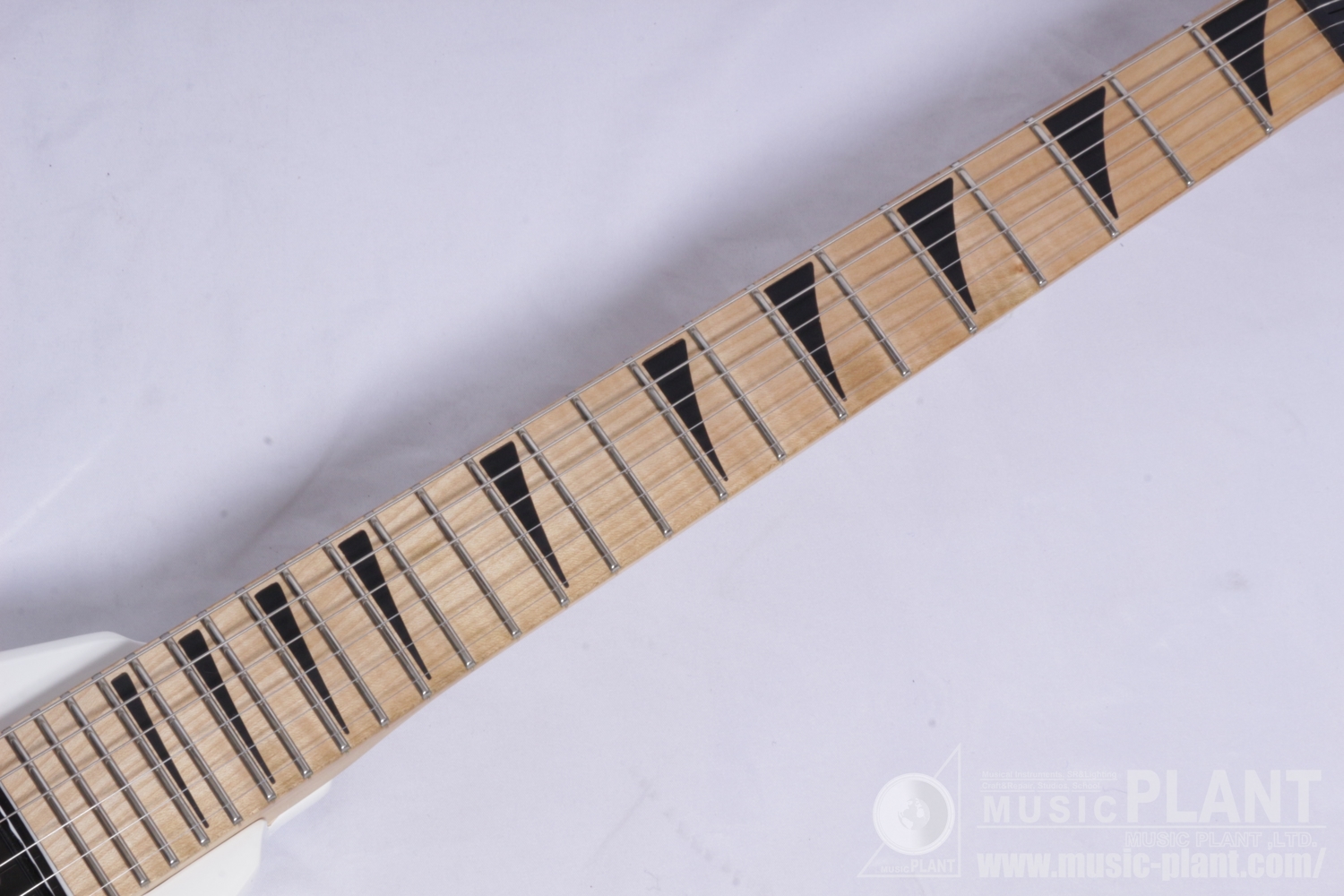 JS Series RR Minion JS1XM, Maple Fingerboard, Snow White追加画像 JS Series RR Minion JS1XM, Maple Fingerboard, Snow White追加画像
