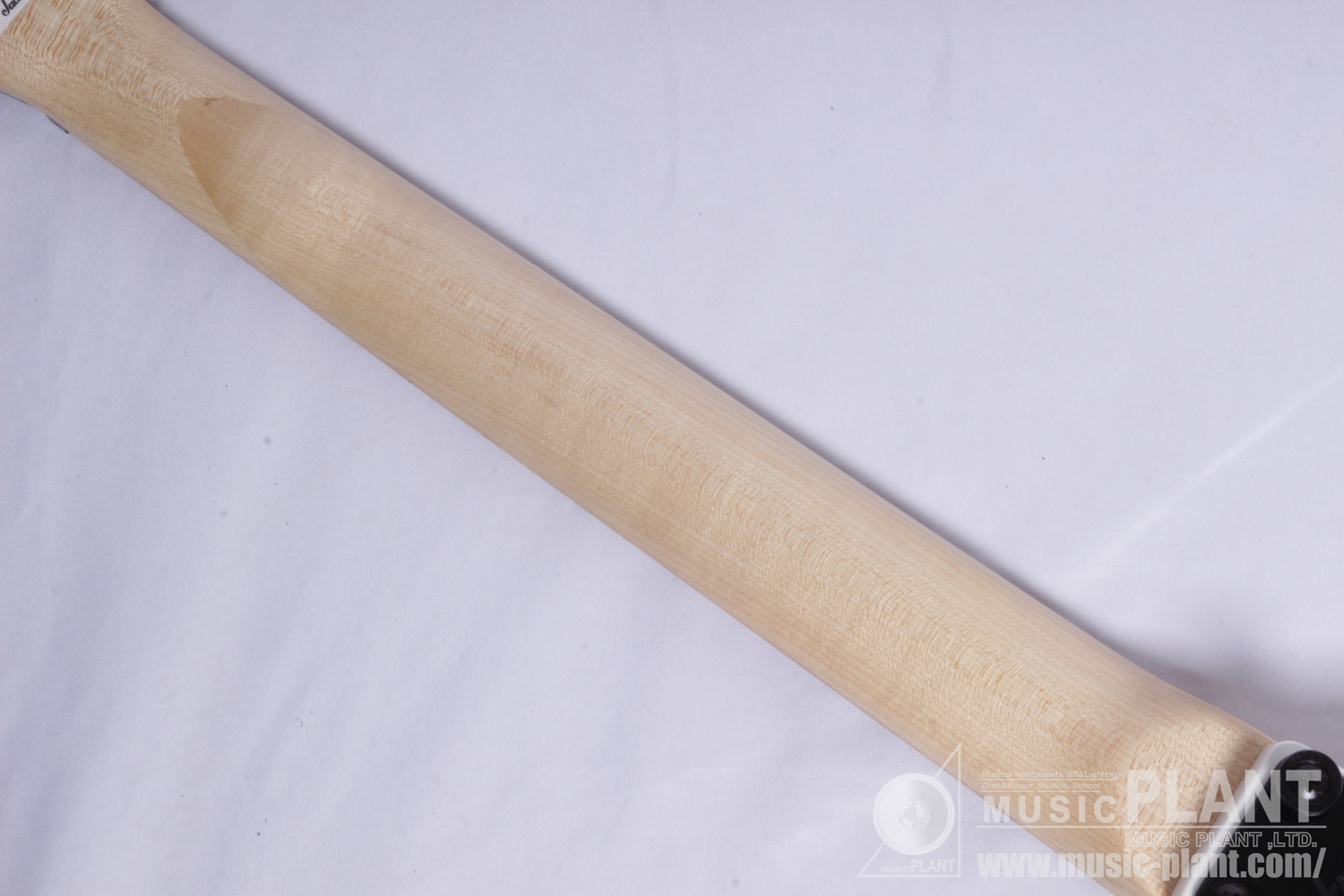JS Series RR Minion JS1XM, Maple Fingerboard, Snow White追加画像 JS Series RR Minion JS1XM, Maple Fingerboard, Snow White追加画像
