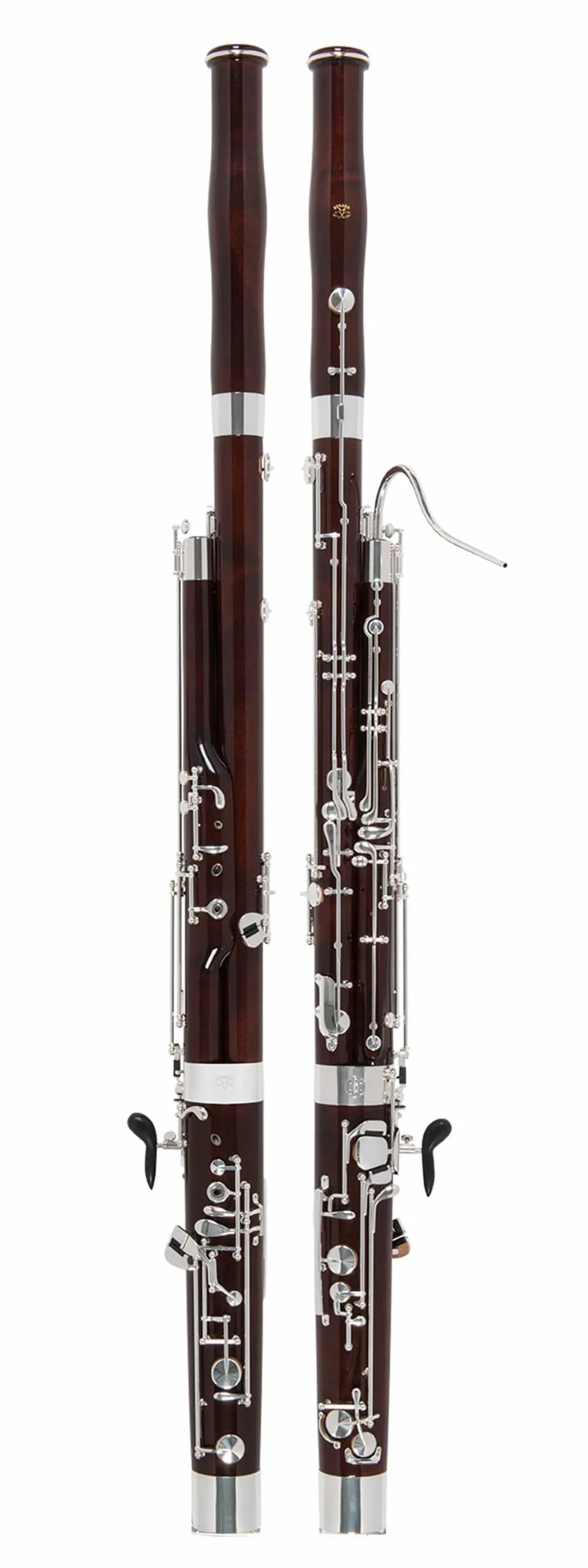 Renard 220D追加画像 Renard 220D追加画像