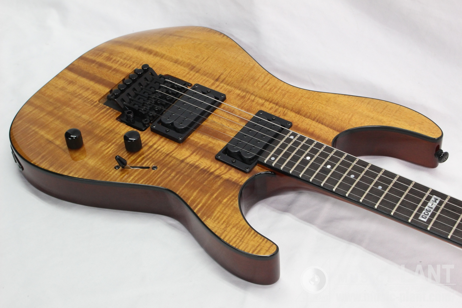 2016 M-1000 KOA追加画像 2016 M-1000 KOA追加画像