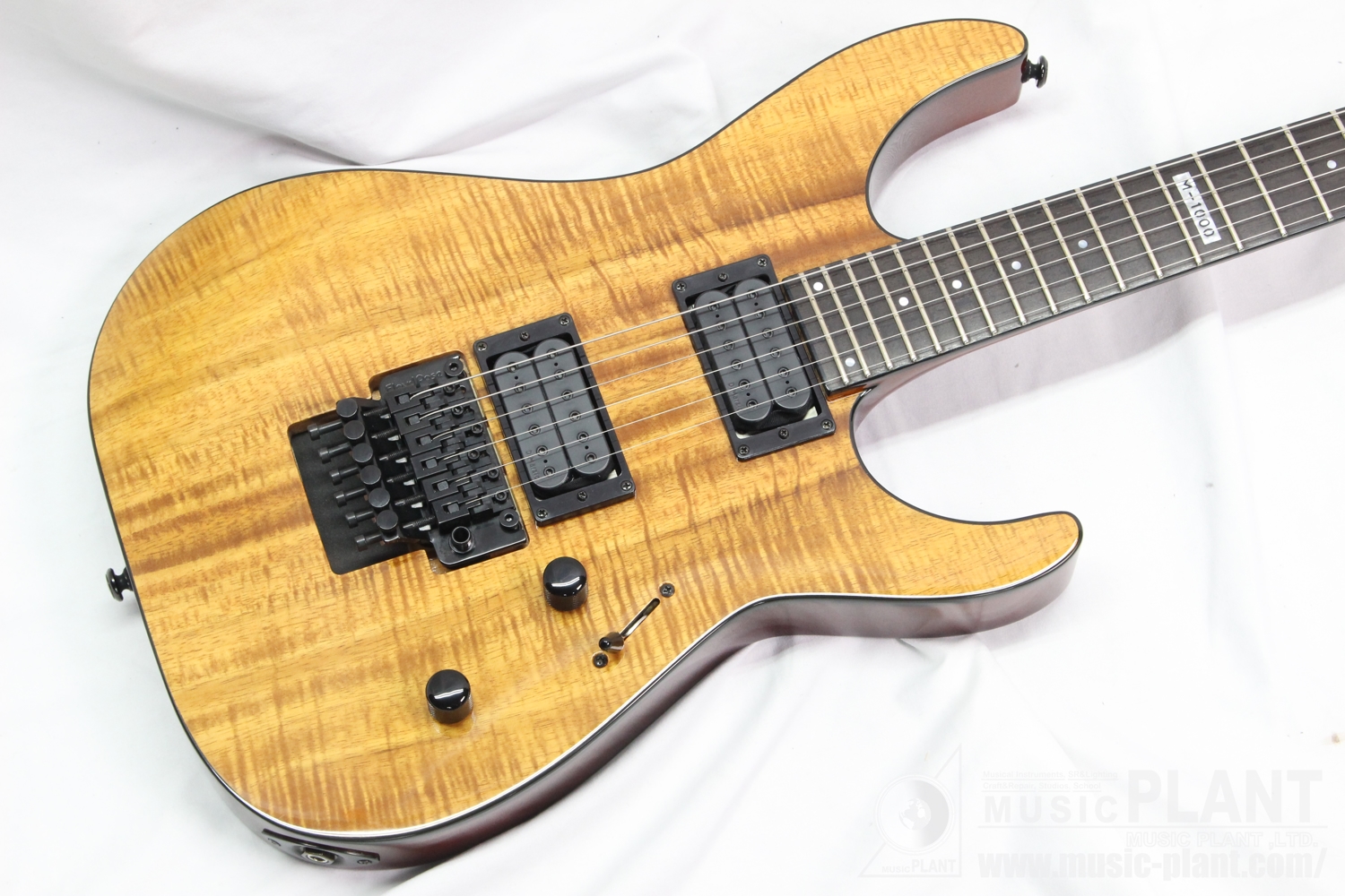 2016 M-1000 KOA追加画像 2016 M-1000 KOA追加画像