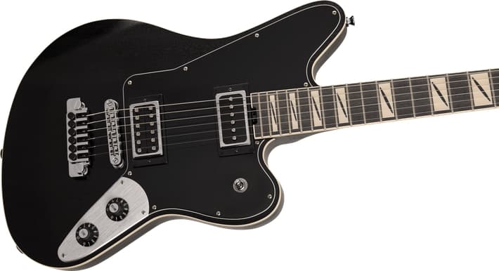 Pro Series Signature Lee Malia LM-87, Amaranth Fingerboard, Open Pore Black追加画像 Pro Series Signature Lee Malia LM-87, Amaranth Fingerboard, Open Pore Black追加画像
