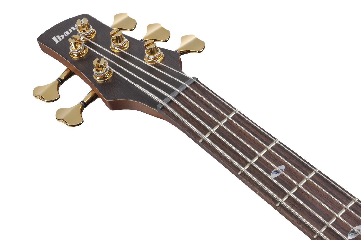 SR6605-GFBヘッド画像 SR6605-GFBヘッド画像
