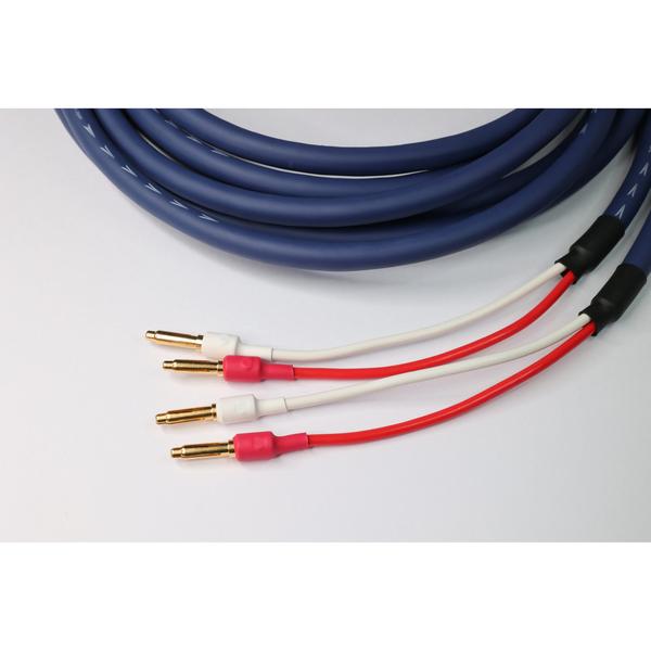 TiGLONMS-DR20SP-AD 2.5m B-Y Pair Azure Dragon