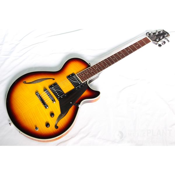 2015 Semi Hollow TCBサムネイル