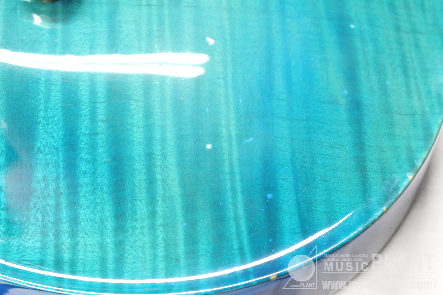 2006 McCarty 1st RoseNeck Royal Blue追加画像 2006 McCarty 1st RoseNeck Royal Blue追加画像