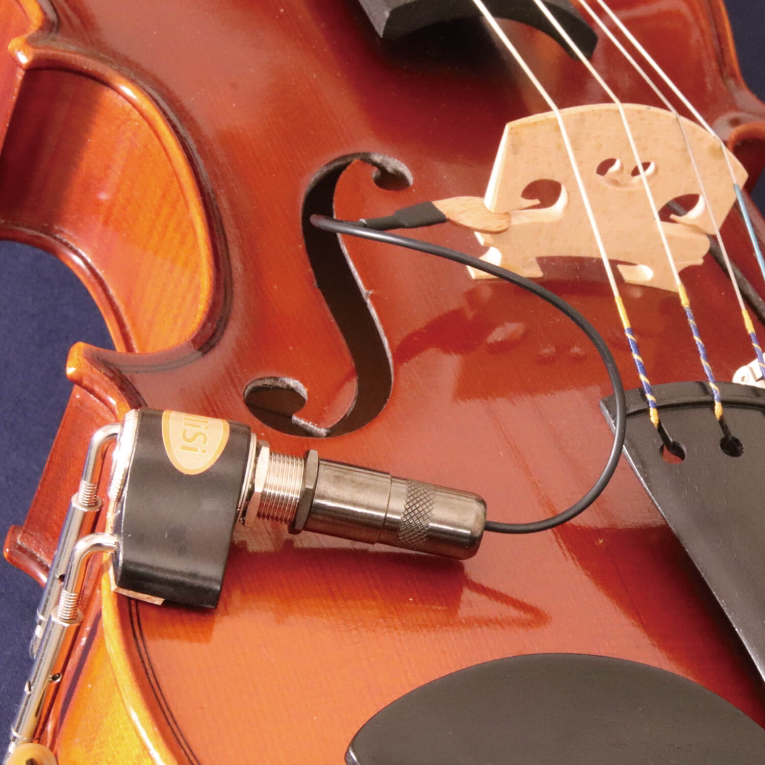 Acoustic Trio Vio追加画像 Acoustic Trio Vio追加画像