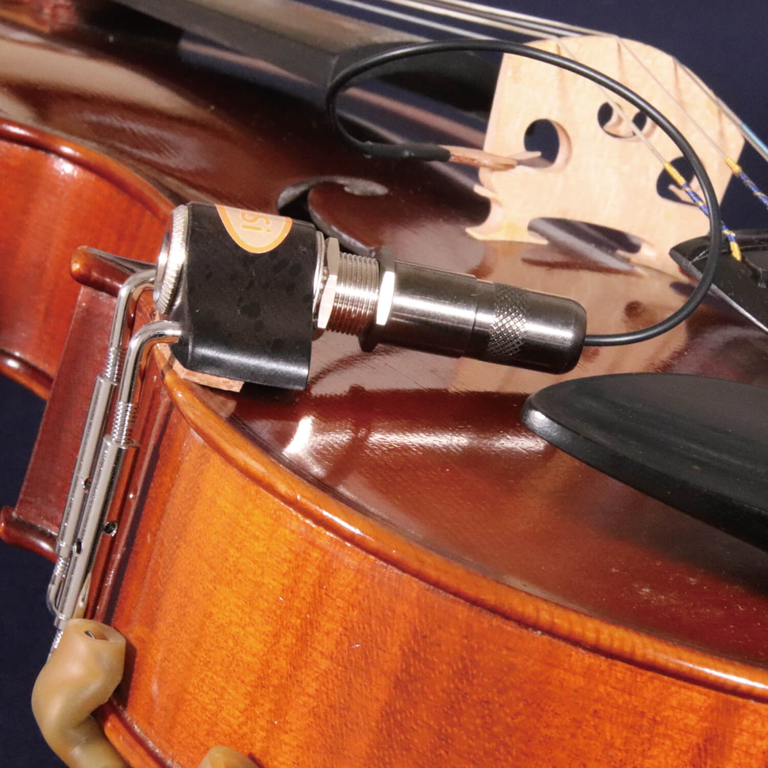 Acoustic Trio Vio追加画像 Acoustic Trio Vio追加画像