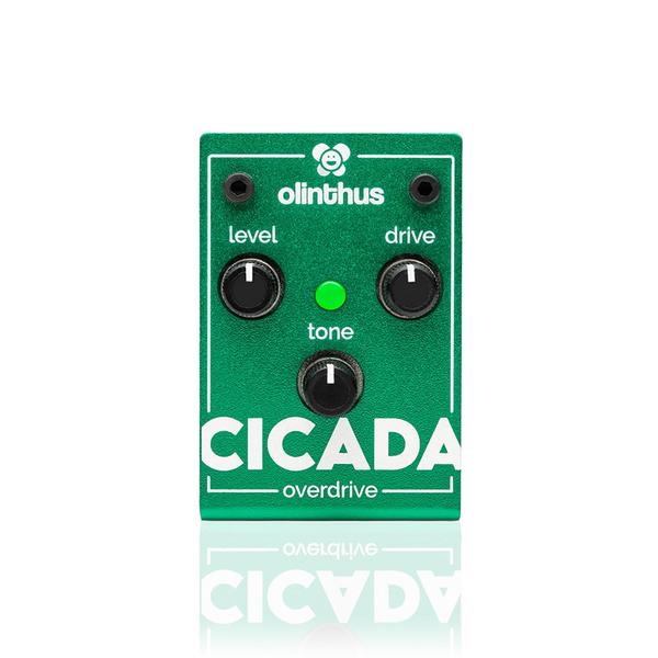 CICADAサムネイル