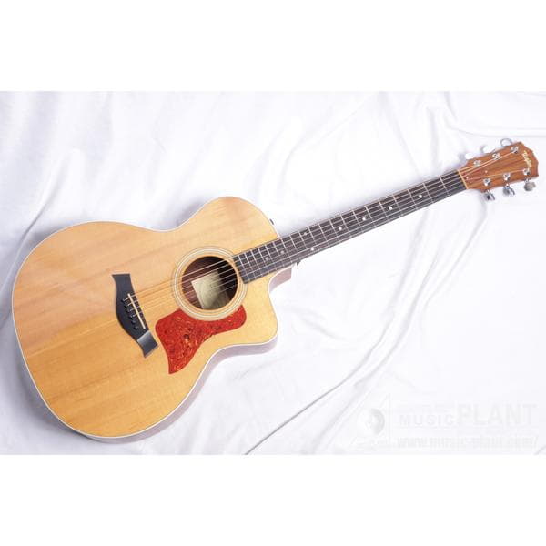 Taylor214ce-G