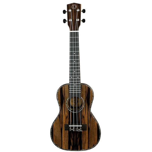 DUC-800 Concertサムネイル