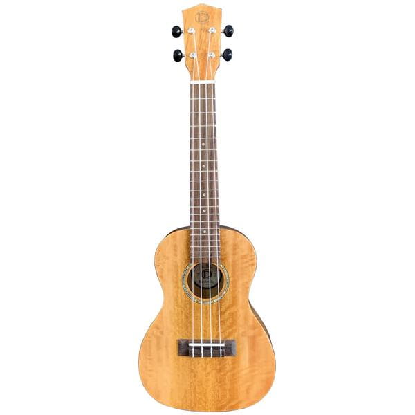 DUC-200MG-2 Concertサムネイル