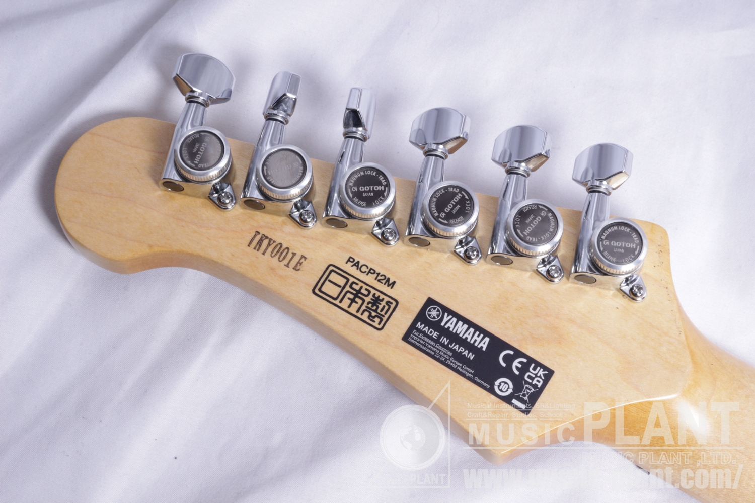 PACP12M Beach Blue Burst追加画像 PACP12M Beach Blue Burst追加画像