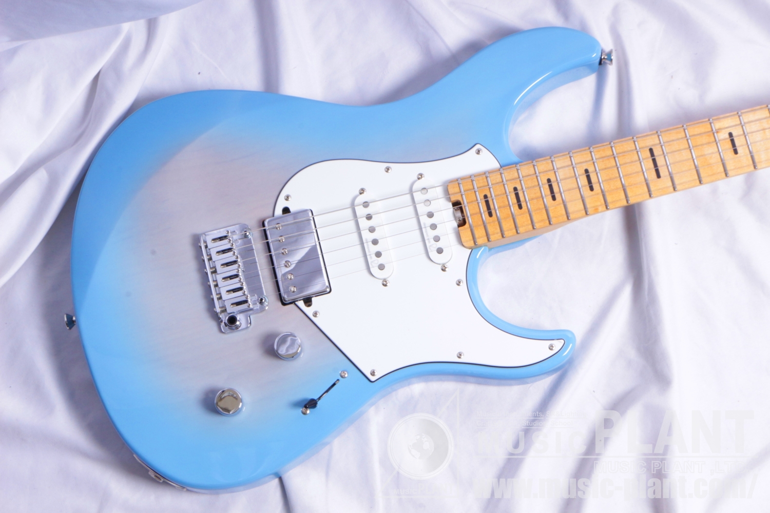 PACP12M Beach Blue Burst追加画像 PACP12M Beach Blue Burst追加画像