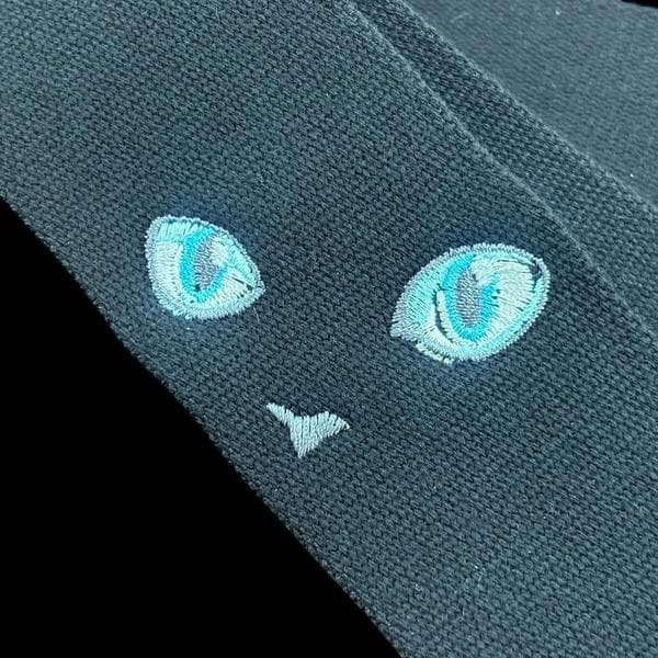 TS-2 AC ねこ ラリマーサムネイル