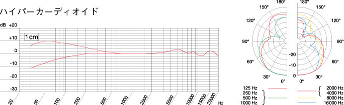 C1000 S追加画像 C1000 S追加画像