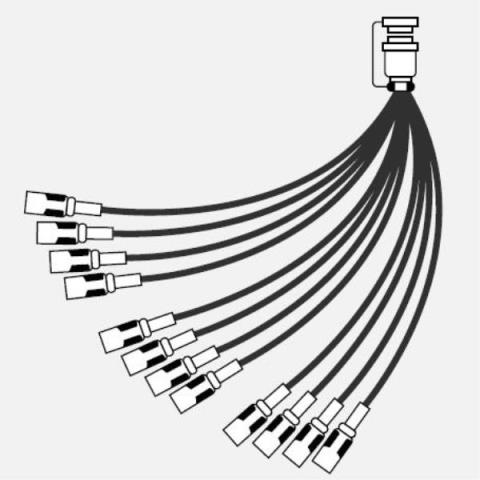 CANARE-12ch セパレートコード12S2N1