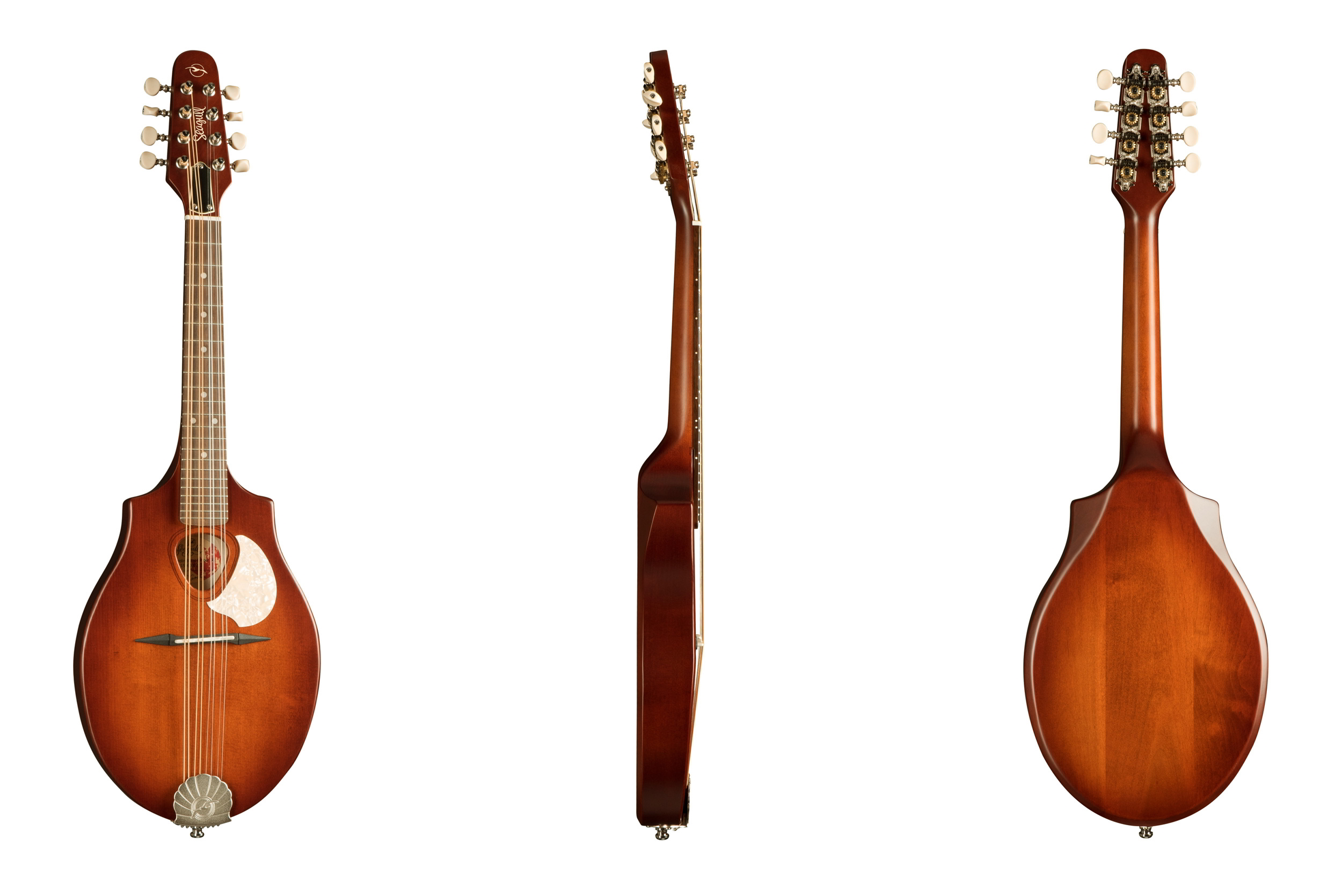 S8 Mandolin Burnt Umber背面画像 S8 Mandolin Burnt Umber背面画像