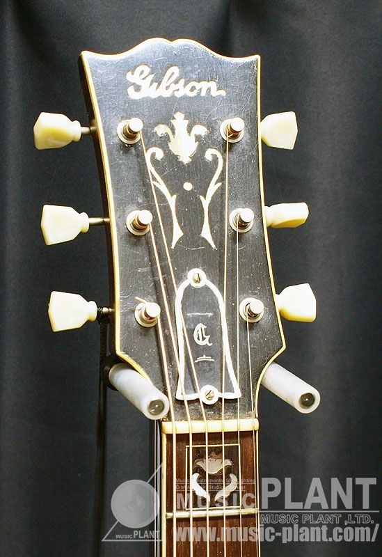 L7 1938ヘッド画像 L7 1938ヘッド画像