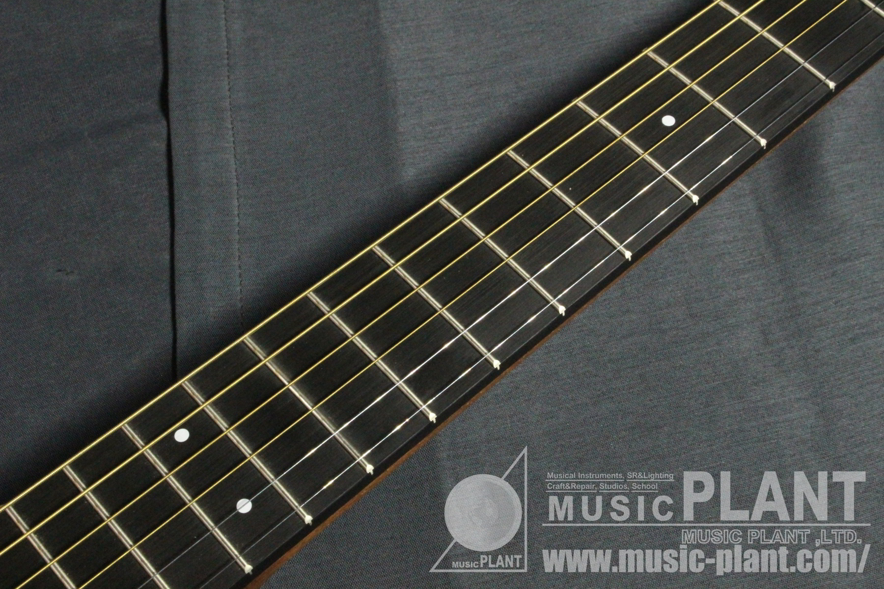 Backpacker Steel String追加画像 Backpacker Steel String追加画像