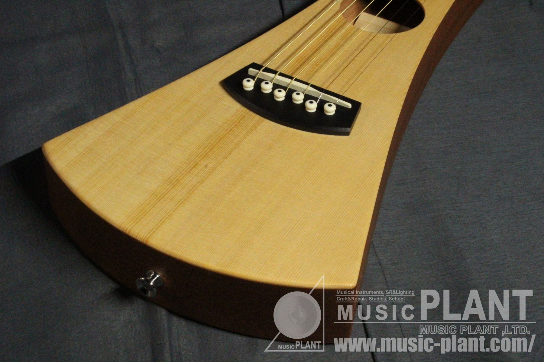 Backpacker Steel String追加画像 Backpacker Steel String追加画像