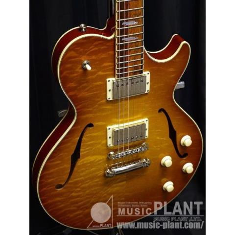 Collings-セミアコ
So Co DLX