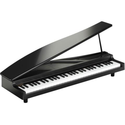 KORG-マイクロデジタルピアノ
microPIANO BK