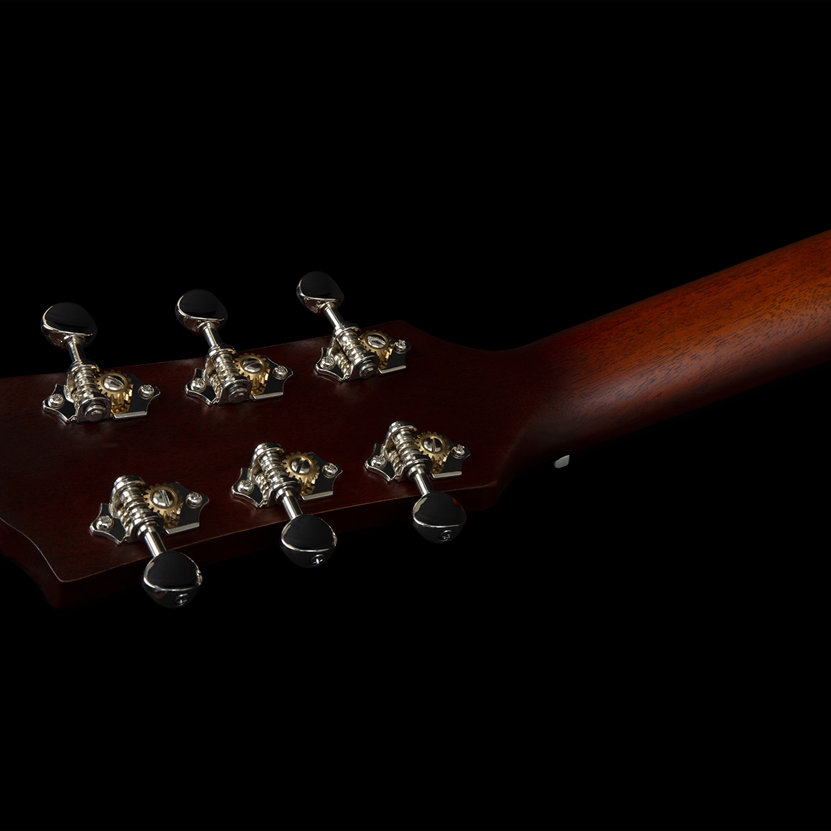 Metropolis LTD HG Havana Burst追加画像 Metropolis LTD HG Havana Burst追加画像