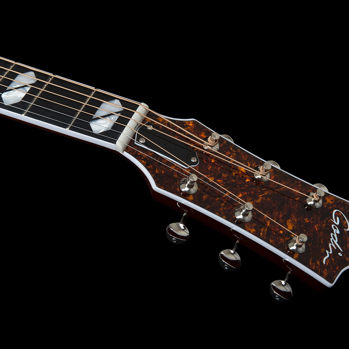 Metropolis LTD HG Havana Burstヘッド画像 Metropolis LTD HG Havana Burstヘッド画像