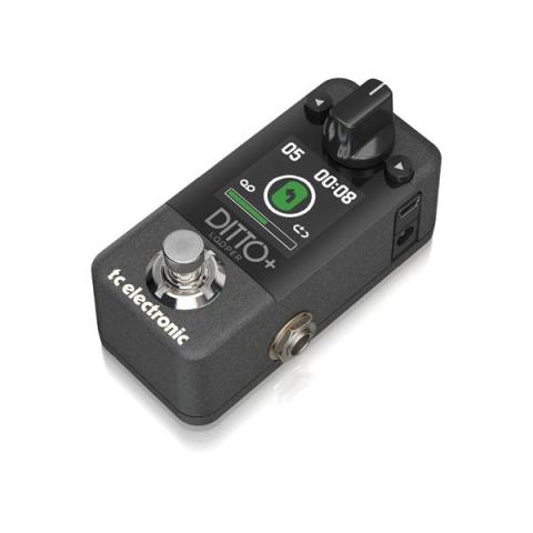 TC Electronic-ルーパーDITTO+ LOOPER