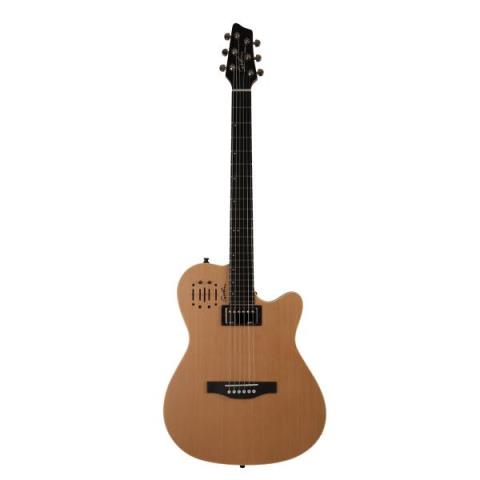 Godin-エレクトリックアコースティックギターA6 Ultra Natural SG