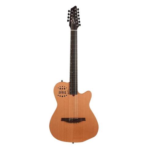 Godin-10弦エレクトリックアコースティックギターA10 Natural