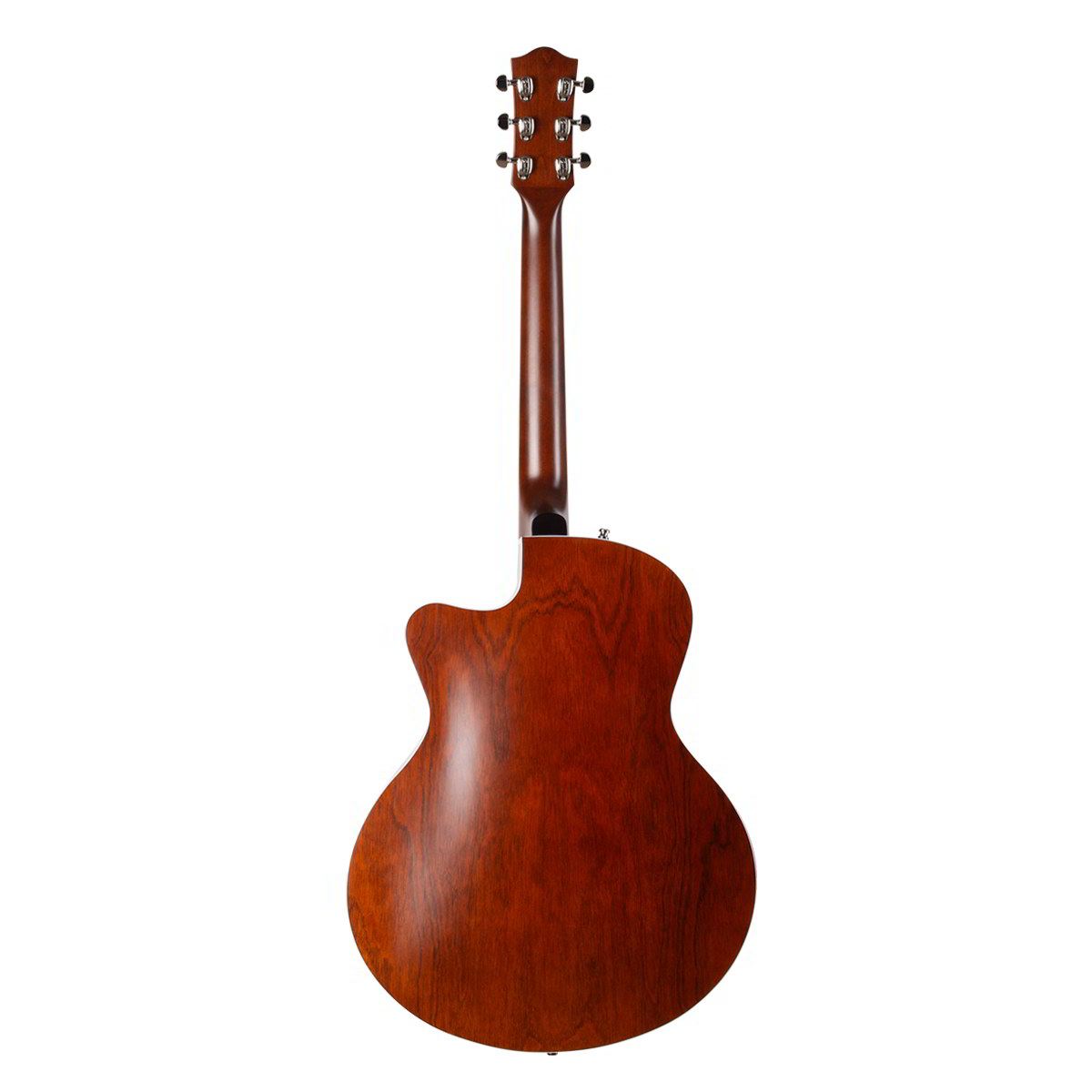 Uptown Custom Havana Brown背面画像 Uptown Custom Havana Brown背面画像