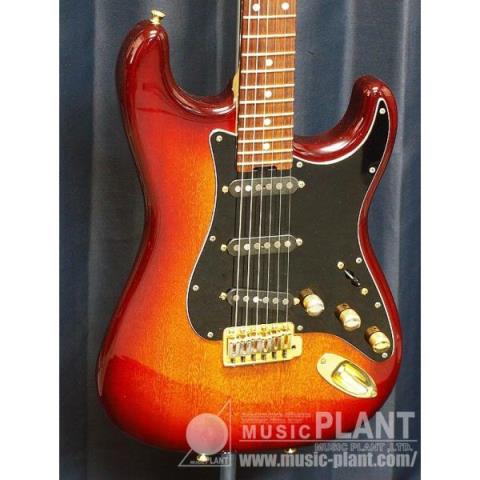 SCHECTER-エレクトリックギター
PW-ST-MH
