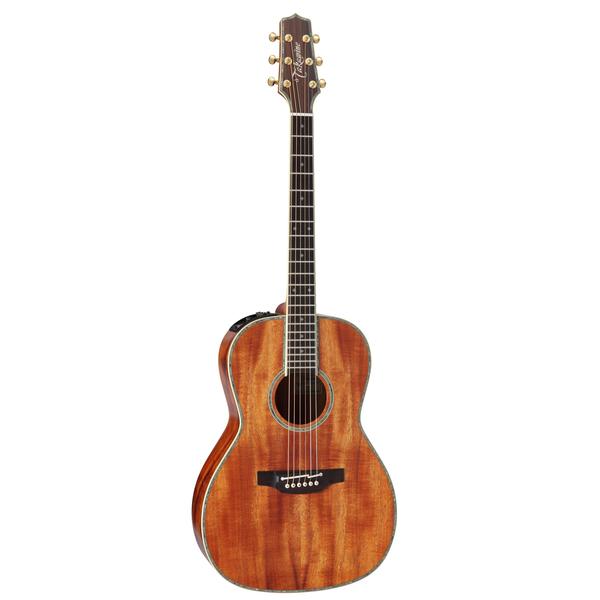Takamine-エレアコ
DMP561C
