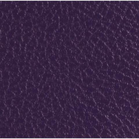 -

Cabinet Covering Purple Bronco/Levant