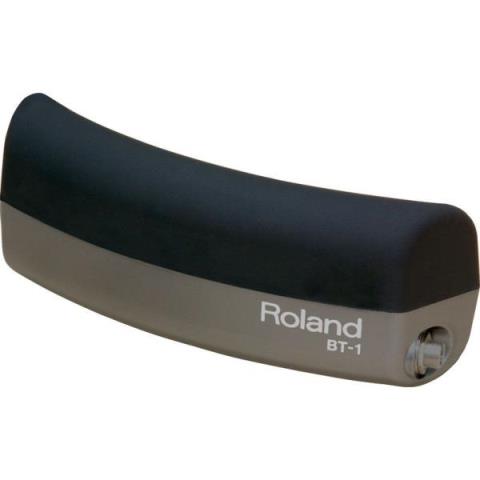 Roland

BT-1