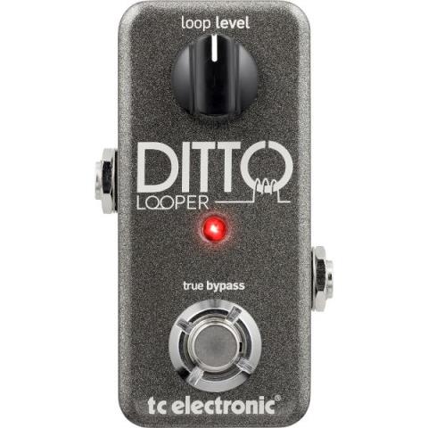 TC Electronic-ルーパーDITTO LOOPER