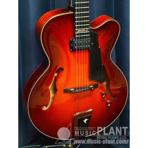 EASTMAN-フルアコJohn Pisano AR-880