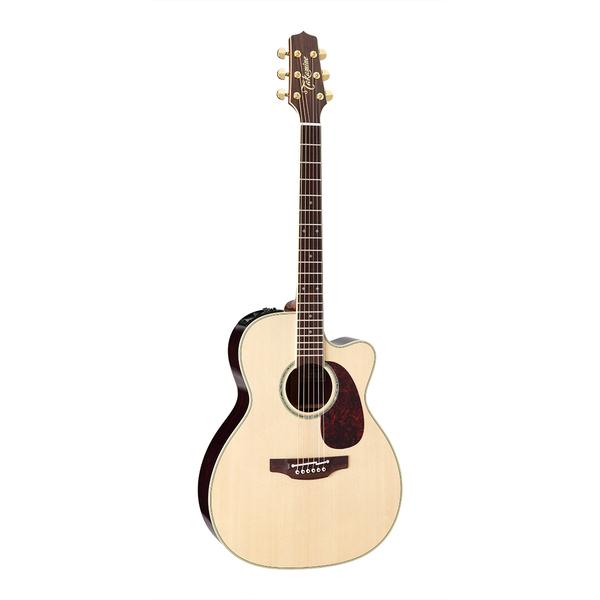 Takamine-エレクトリックアコースティックギターDMP761C N