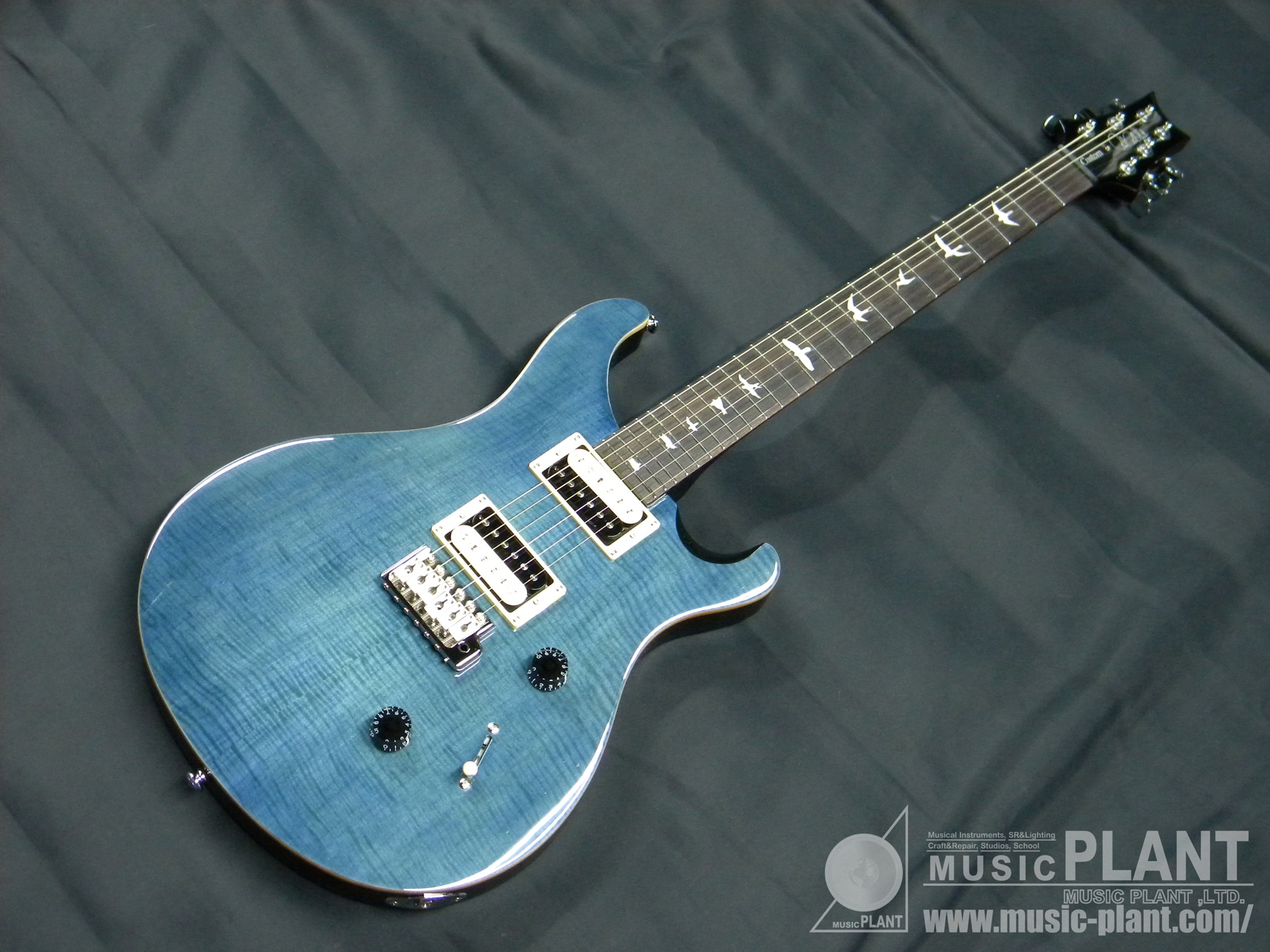 PRS SE custom 24