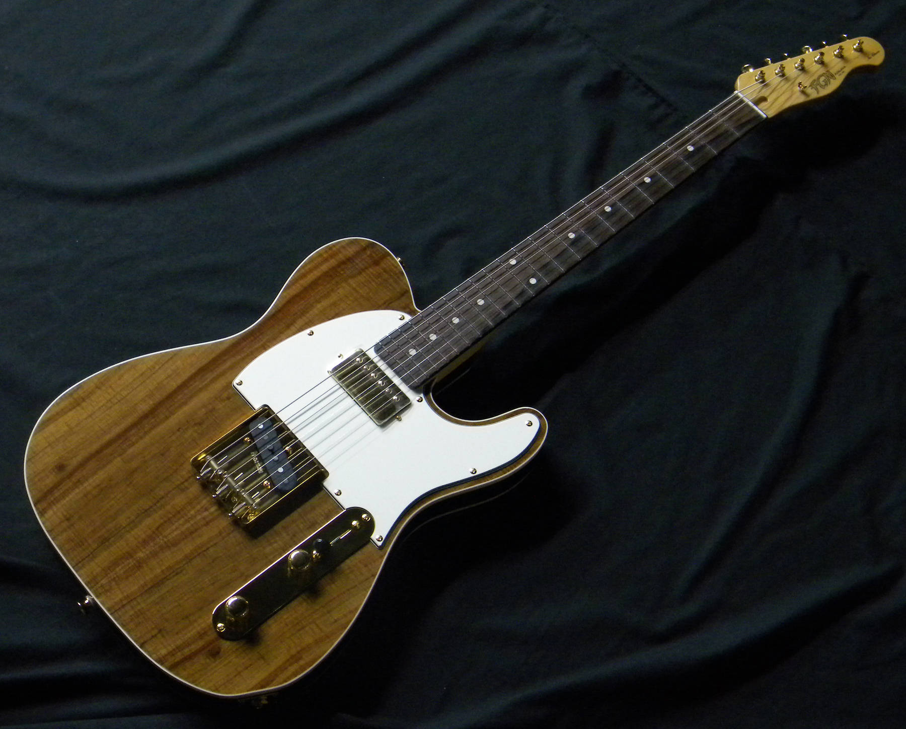 全国送料無料の通販 FgN Neo Classicシリーズ エレキギターSNTL201-NT()売却済みです ギター