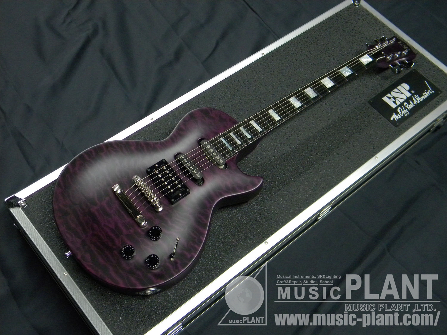 ESP エレキギターILP-IV VIOLA LUNA SEA INORAN SIGNATURE MODEL中古品()売却済みです。あしからず