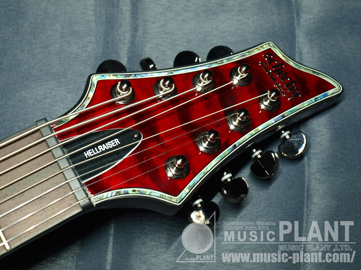 HELLRAISER C-8ヘッド画像 HELLRAISER C-8ヘッド画像
