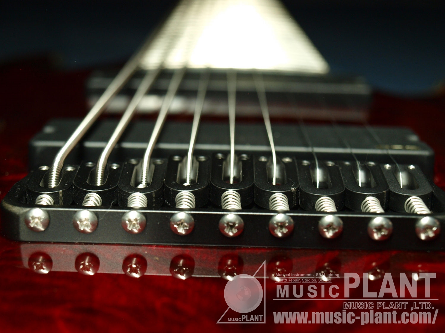 HELLRAISER C-9追加画像 HELLRAISER C-9追加画像