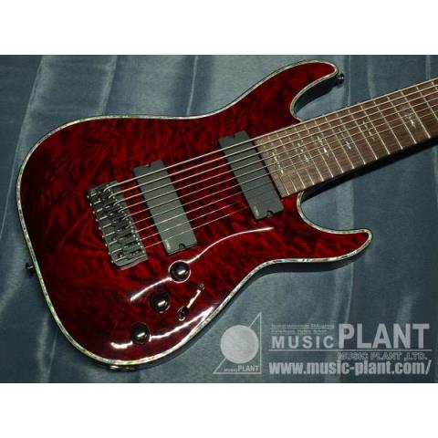 SCHECTERHELLRAISER C-9
