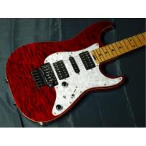 SCHECTER-中古エレキギター
EX-22-CTM-FRT