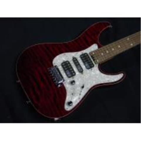 SCHECTER-エレキギターEX-V-24-CTM-VTR-4AG Black Cherry